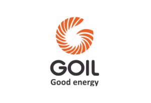Customer Logo